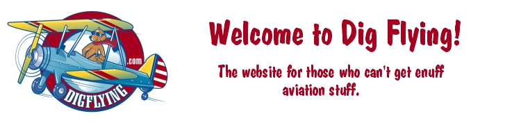 Welcome to DigFlying.com